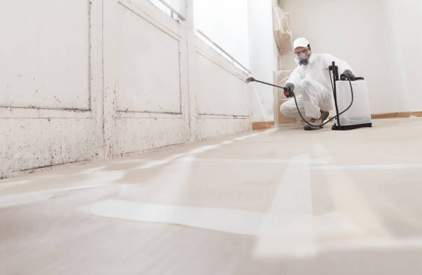 24/7 Emergency Attic Mold Removal experts in Sykesville, MD