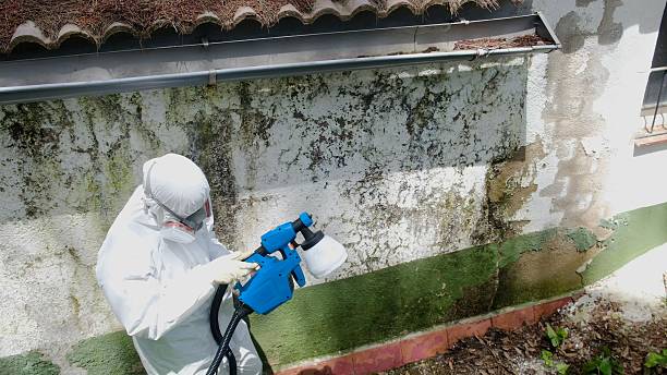 Top rated local Attic Mold Removal specialists in Sykesville, MD